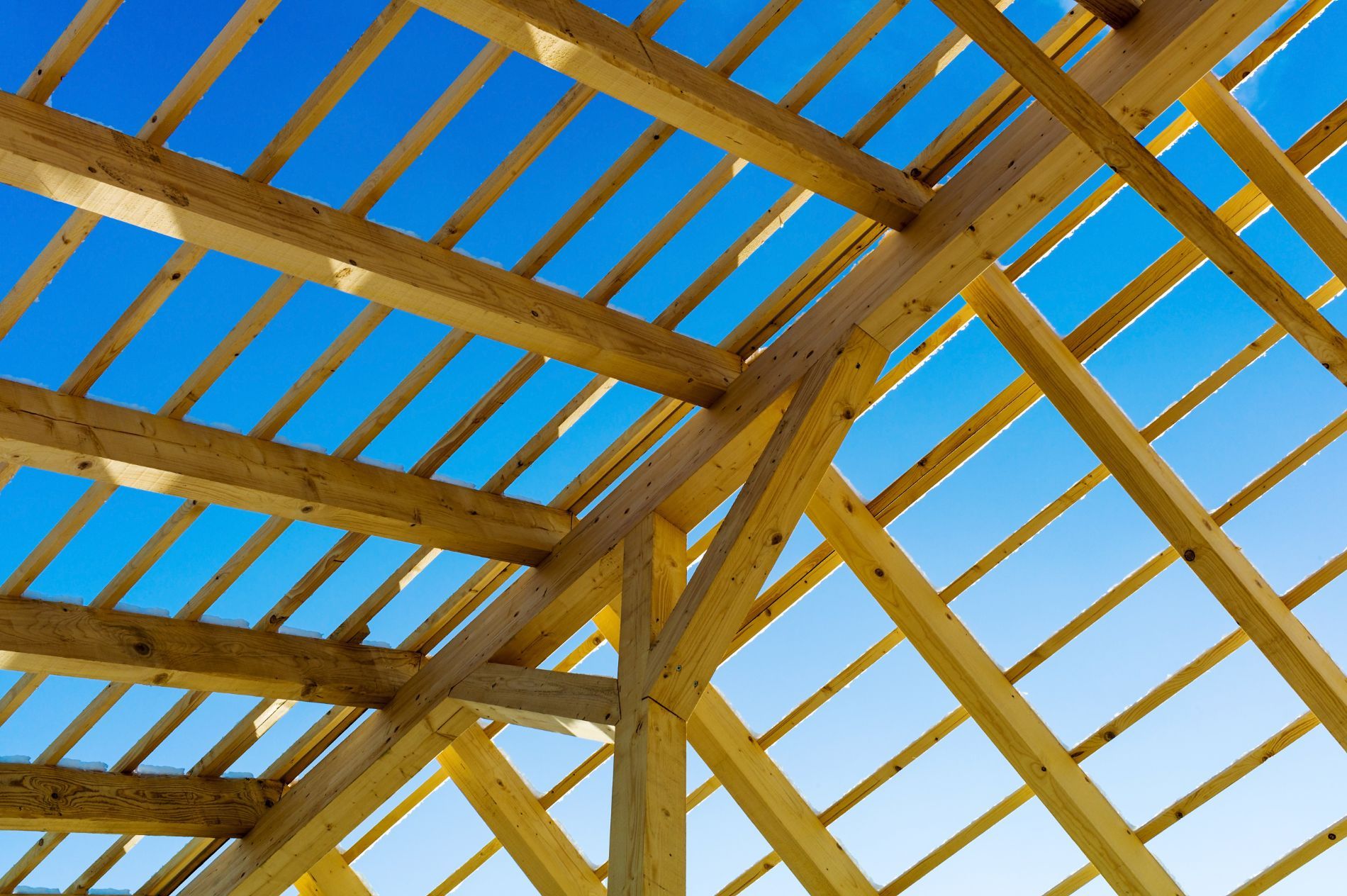 Strutture in legno