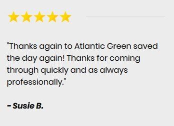 A five-star review for Atlantic Green from Susie B. reading: 