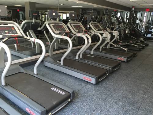 A row of treadmills are lined up in a gym.