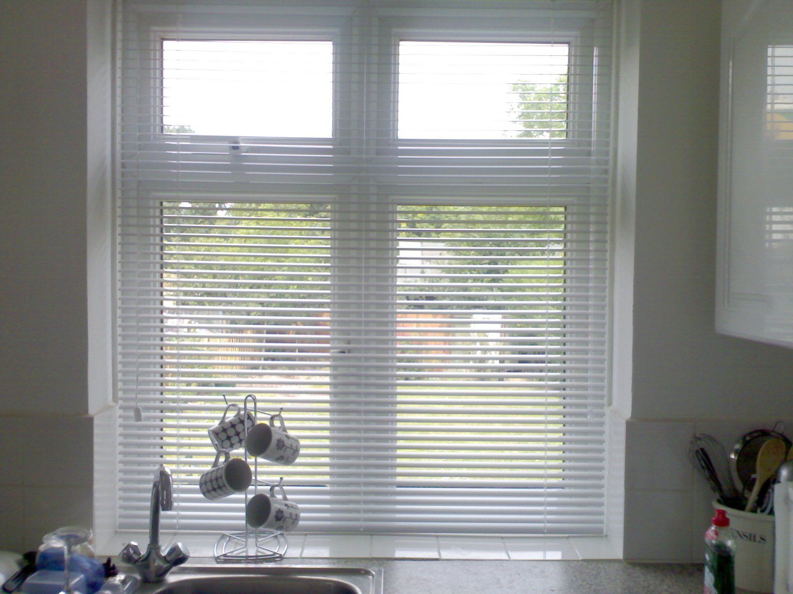 cups near windows