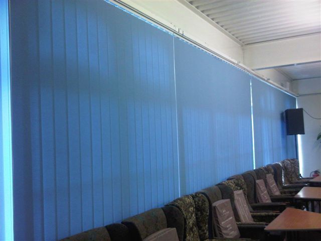 blue blinds