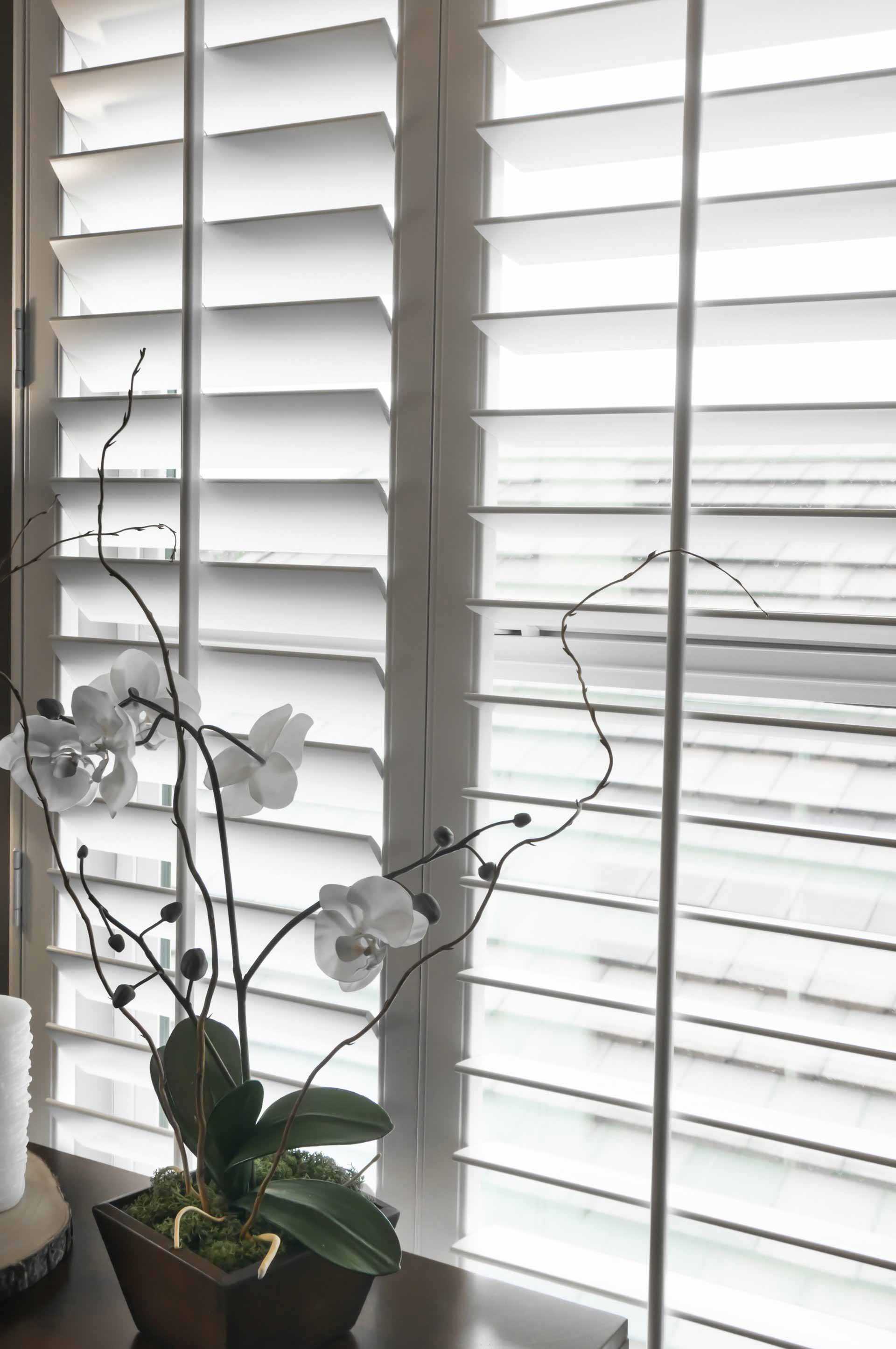 white shutters