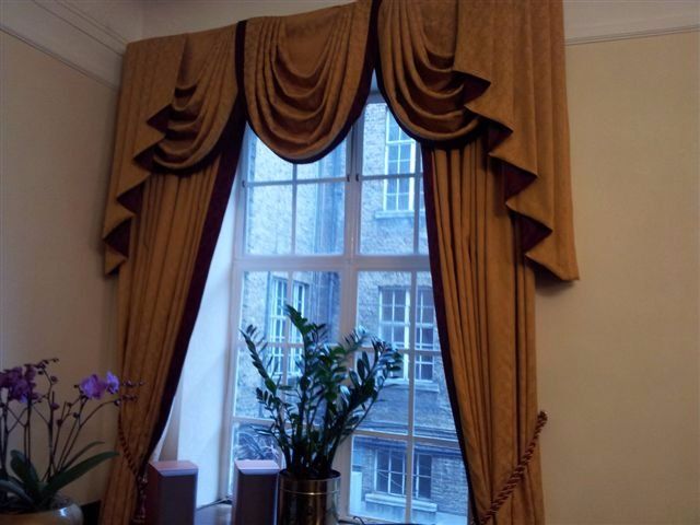 plant near window