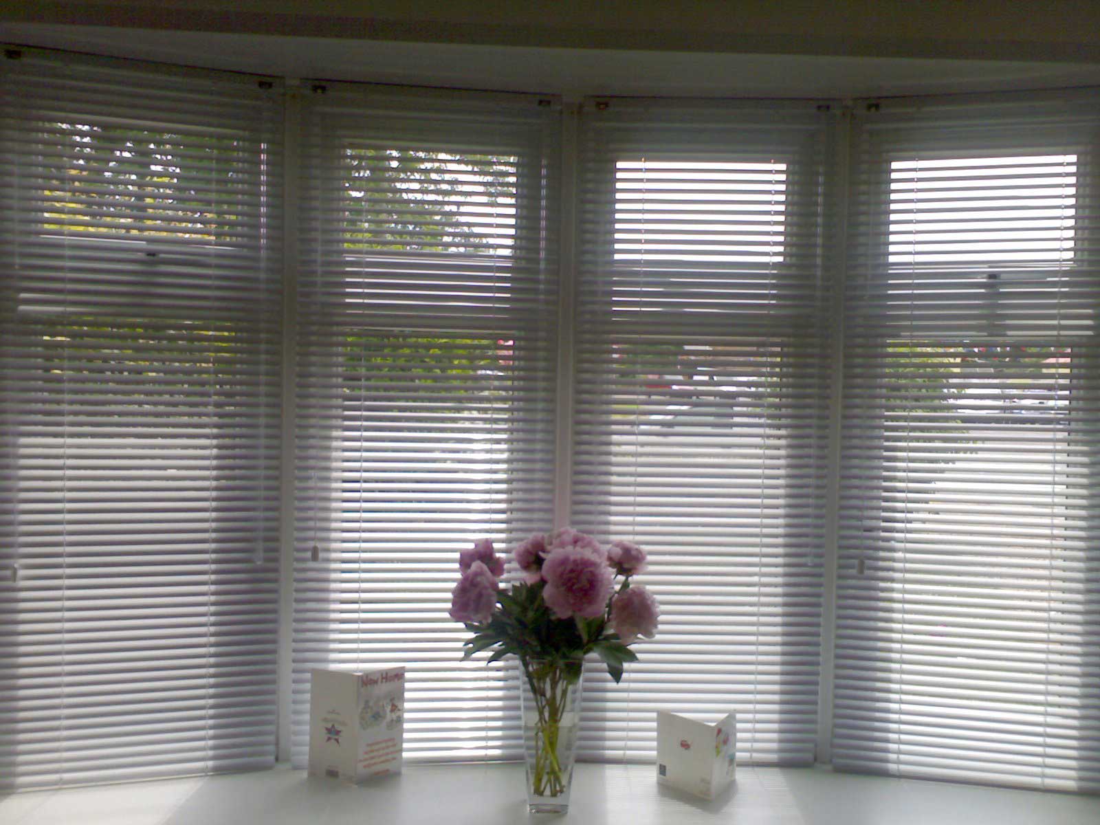 white blinds