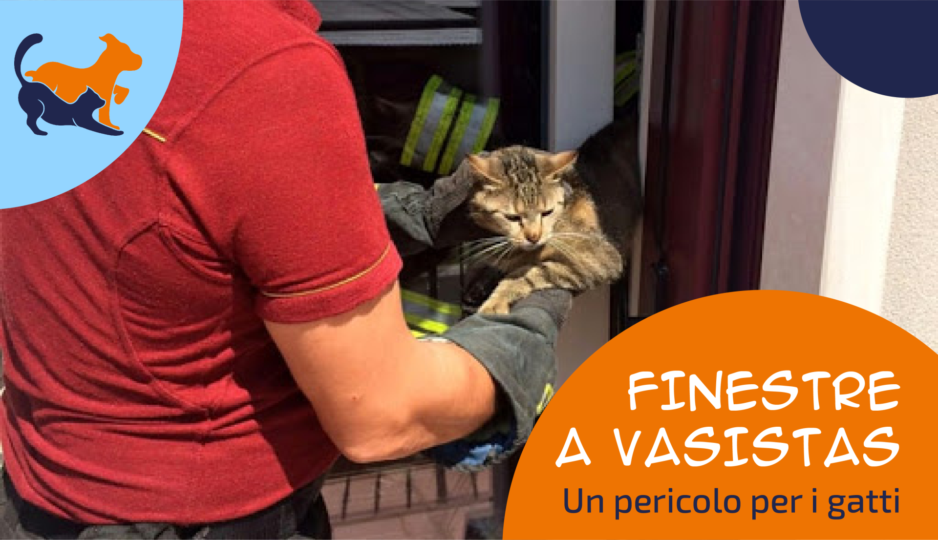clinica veterinaria primavera