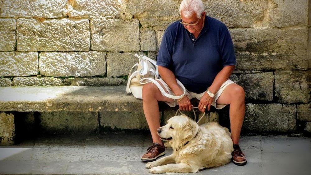 clinica veterinaria primavera