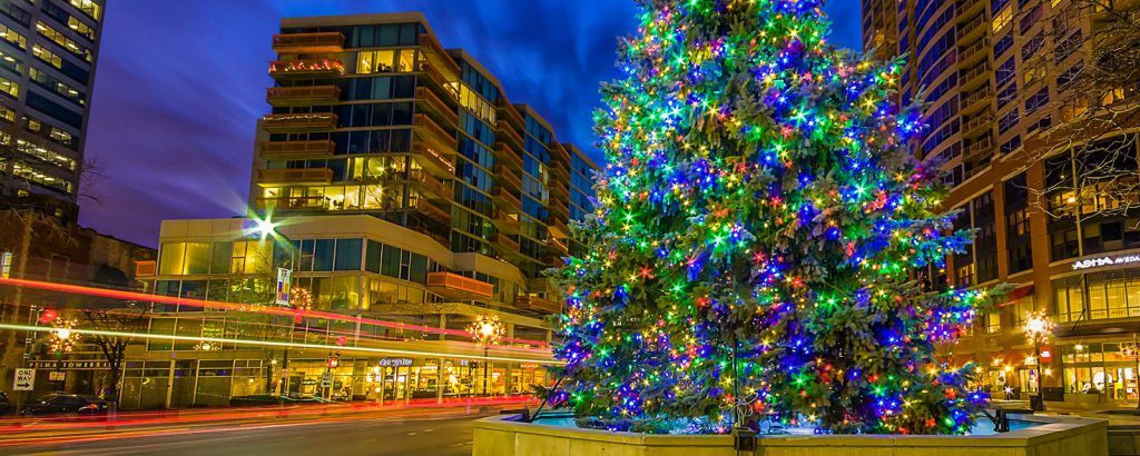 A large christmas tree is in the middle of a city at night.