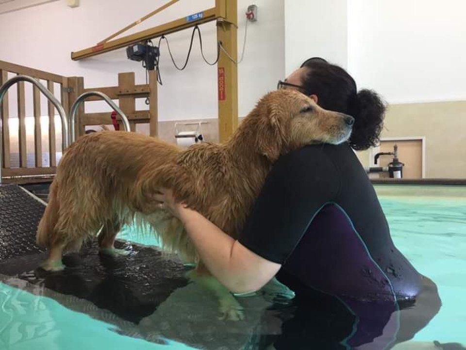 Nuoto con cane