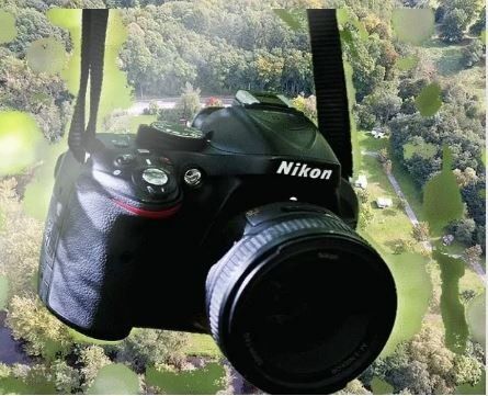 fotos van activiteiten op vakantielocatie