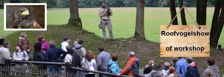 activiteit roofvogelshow, demonstratie of workshop roofvogels in de ardenne