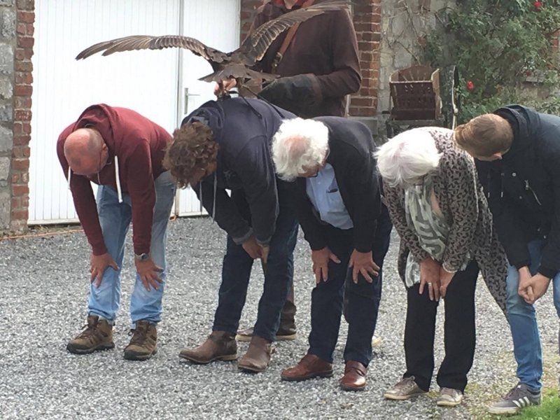 roofvogel demo op vakantieadres