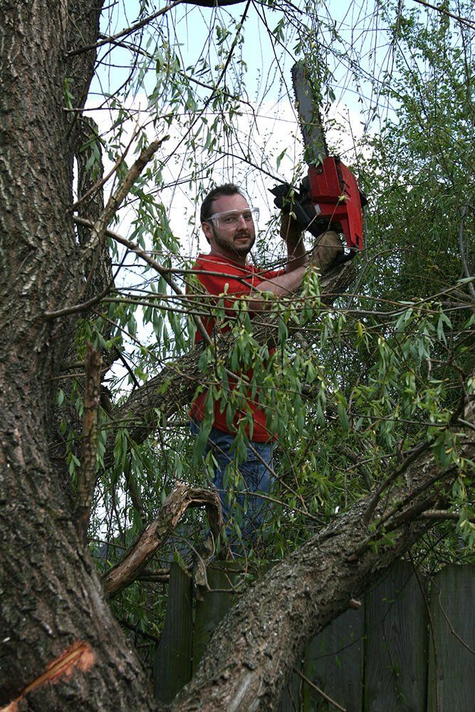 Man with chainsaw - Tree Service in Mount Bethel, PA Man with chainsaw - Tree Service in Mount Bethel, PA