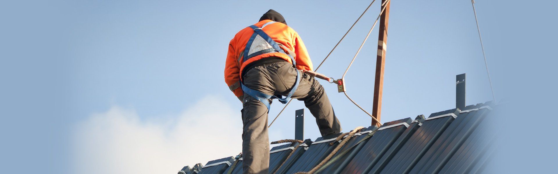 fall arrest system specialist