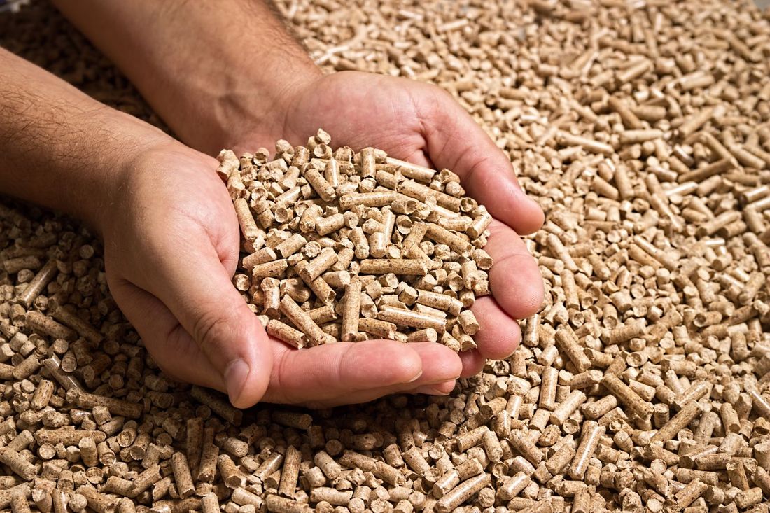 pellet in mano