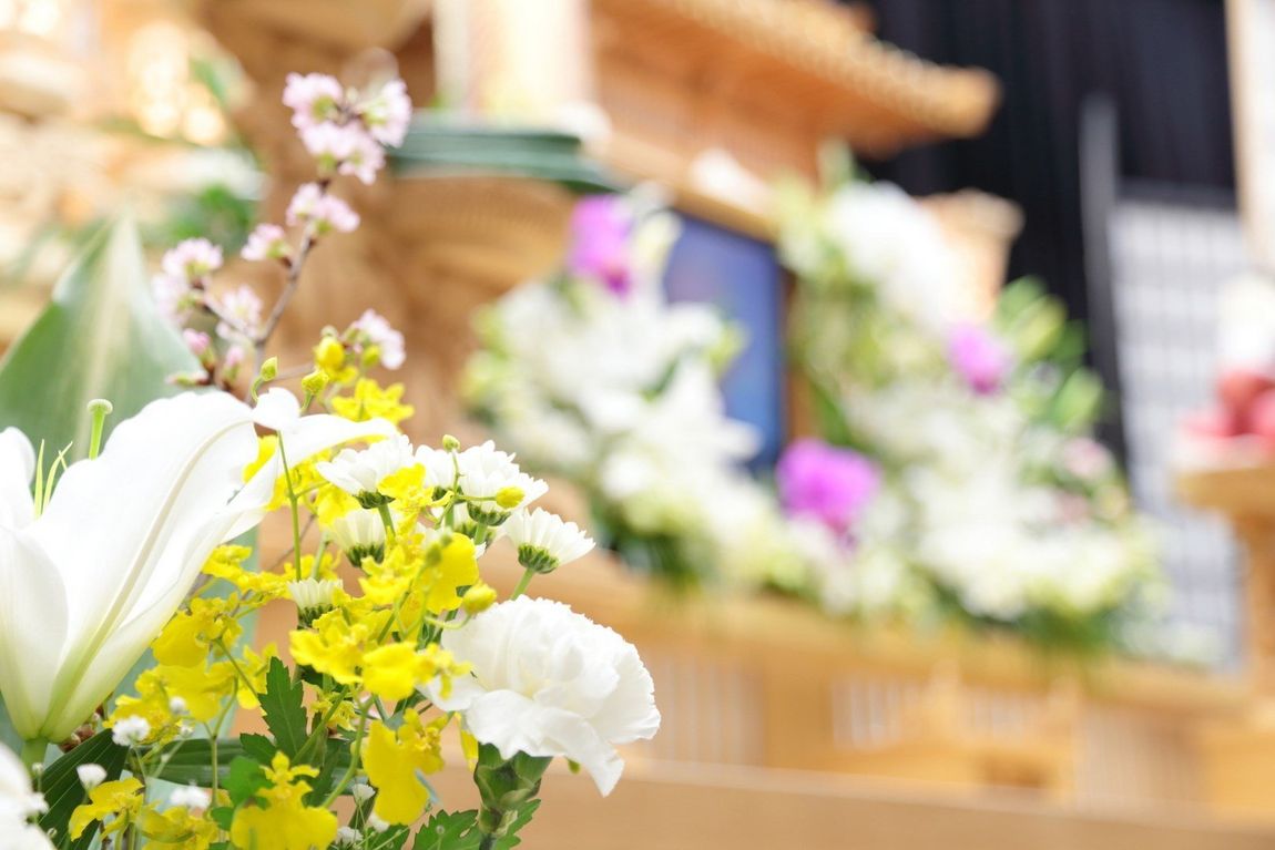 fiori bianchi e gialli