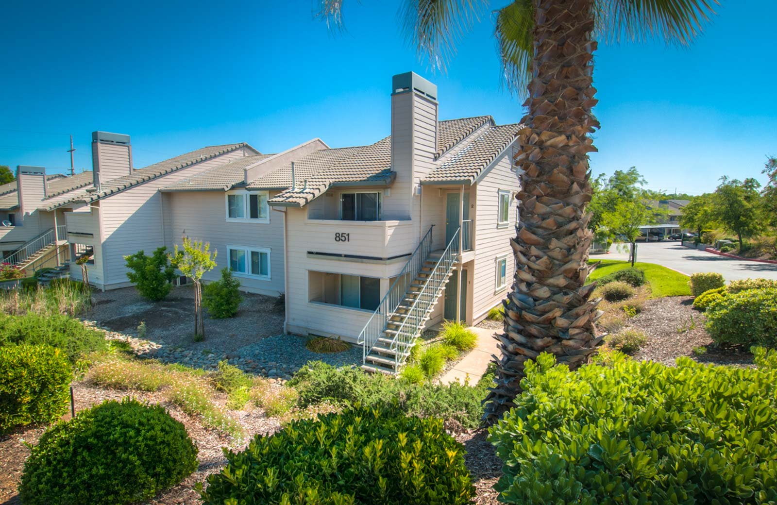 exterior view of Shasta Creek Apartments with Palm tree