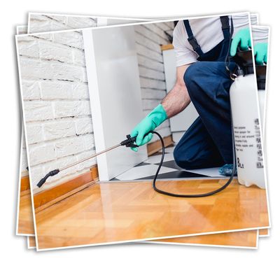 Exterminator Spraying Pesticide — Savannah, GA — Johnson Exterminating Inc. Exterminator Spraying Pesticide — Savannah, GA — Johnson Exterminating Inc.
