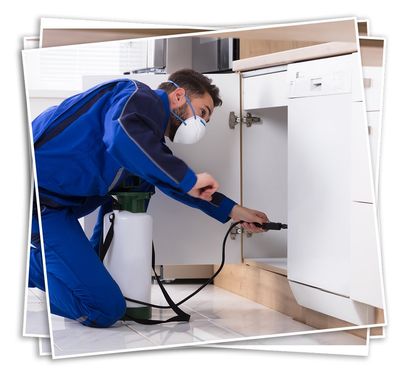 Man Spraying Pesticide In Kitchen — Savannah, GA — Johnson Exterminating Inc. Man Spraying Pesticide In Kitchen — Savannah, GA — Johnson Exterminating Inc.