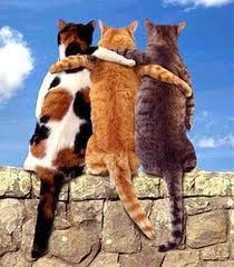Healthy Relationships Characteristics