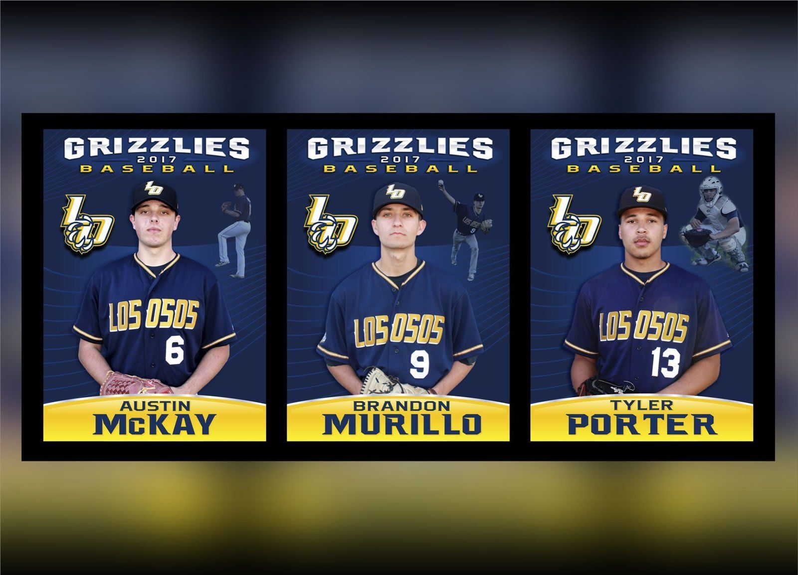 Baseball Banners