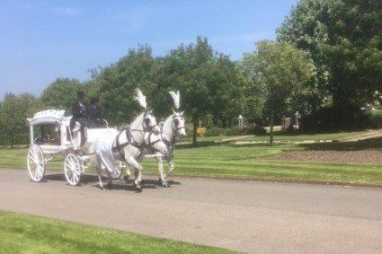 funeral transport