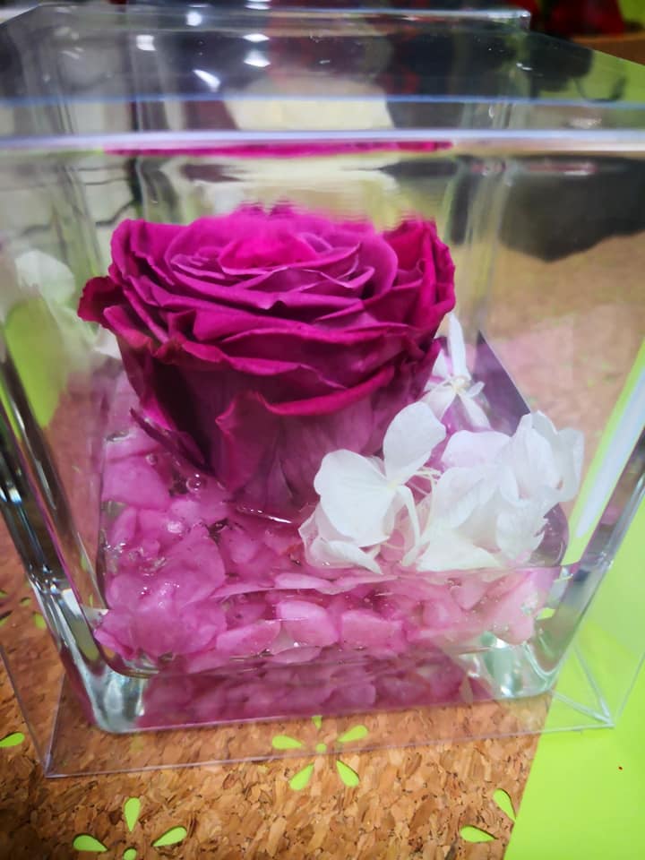 rosa viola stabilizzata