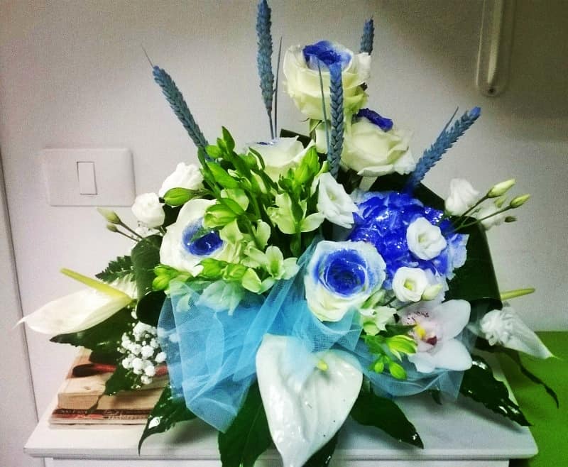 rose e fiori blu