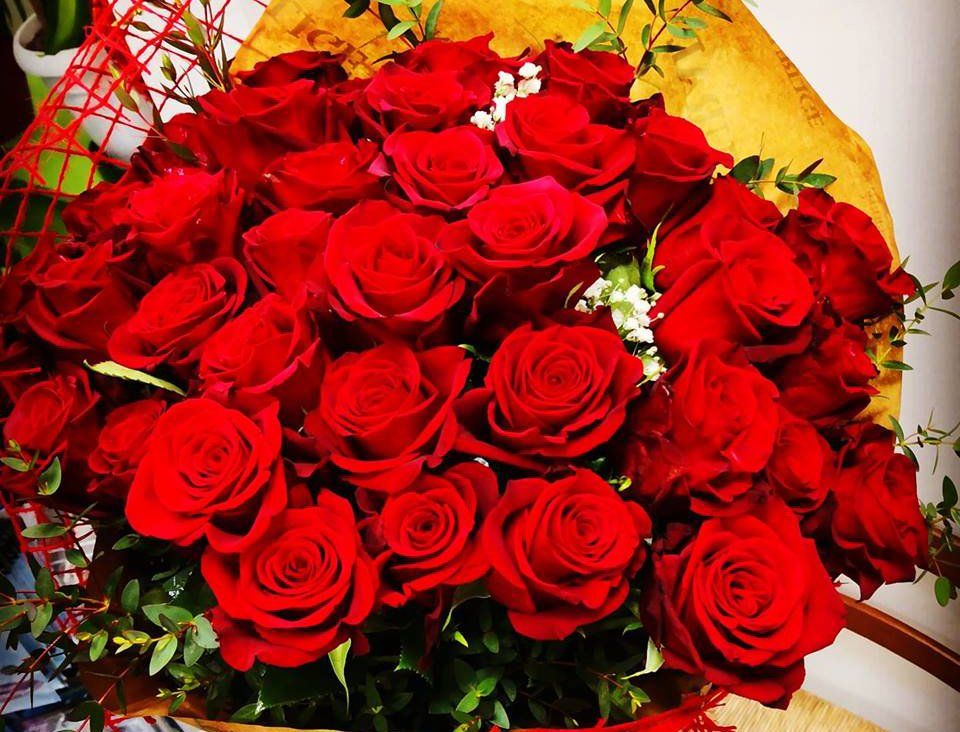 rose rosse