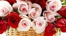 fiori finti, fiori di seta fiori finti, fiori di seta
