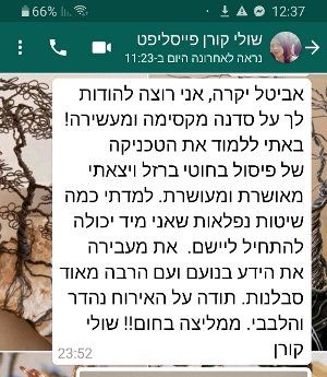 קורסי אמנויות למורים בשבתון קורס פיסול בחוט ברזל - המלצה