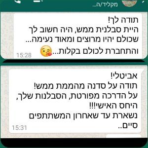 קורסי אמנויות למורים בשבתון קורס פיסול בחוט ברזל- המלצה