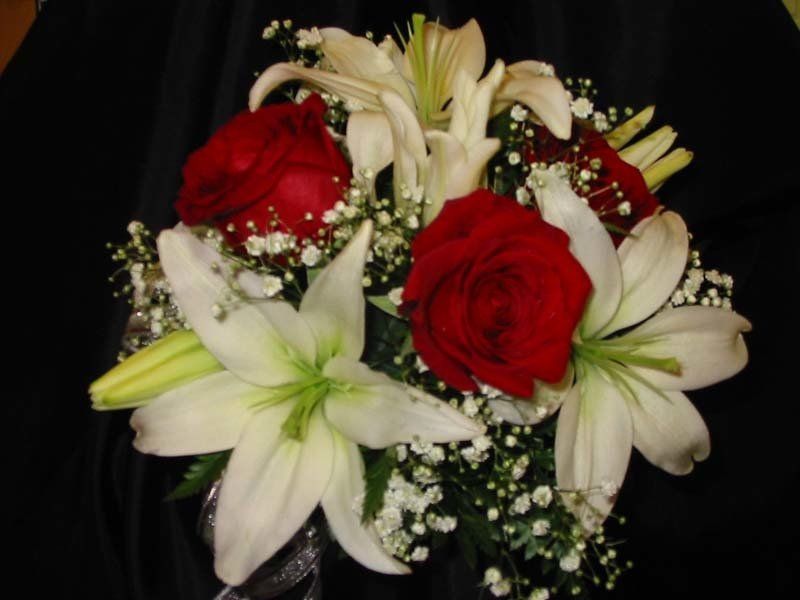 Red and Cream roses