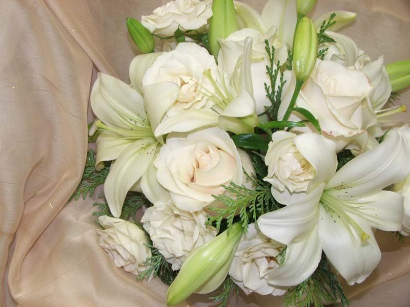 garden roses