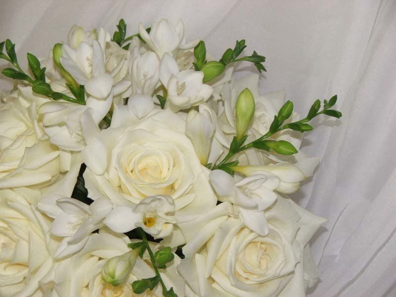 Old garden roses