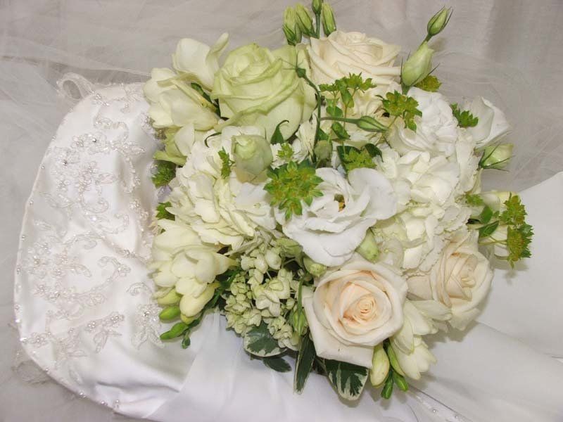 Bush of white roses