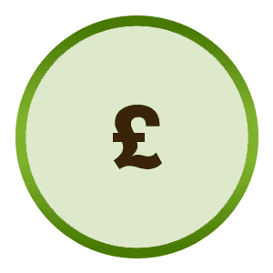 Pound icon