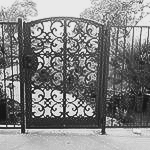Ornate black wrought-iron gate with floral scrollwork beside a garden path, with trees in the background