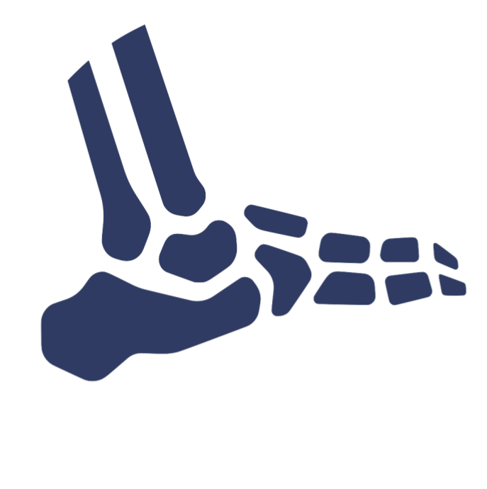 A blue icon of a foot with bones on a white background.