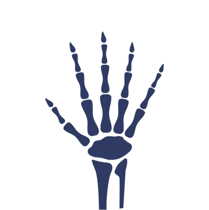 It is a skeleton of a hand with a lot of bones.