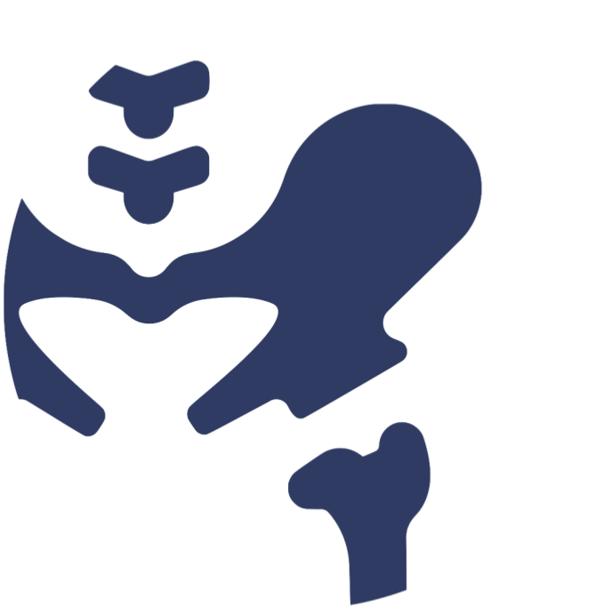 A blue silhouette of a person 's skeleton on a white background.