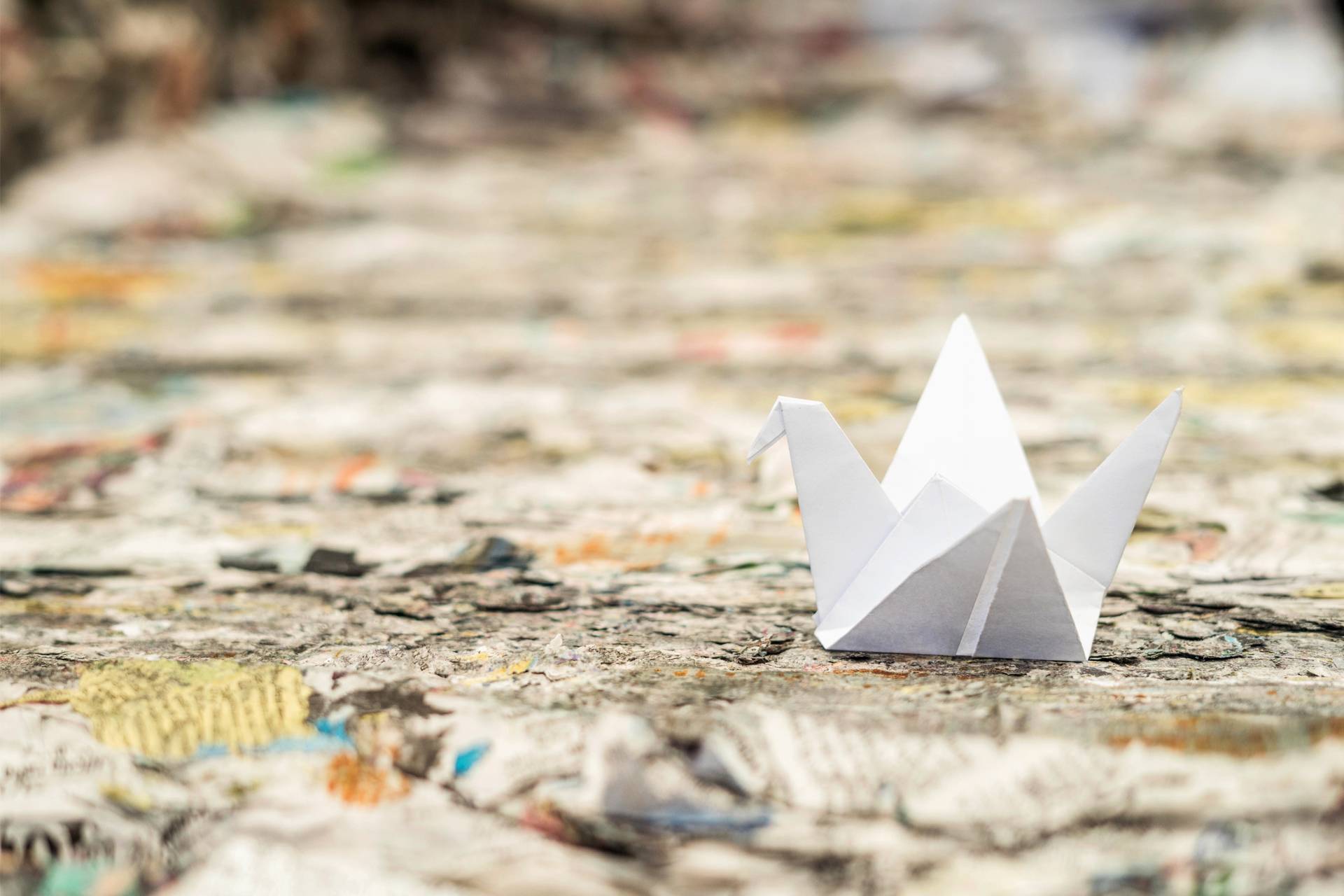 Origami