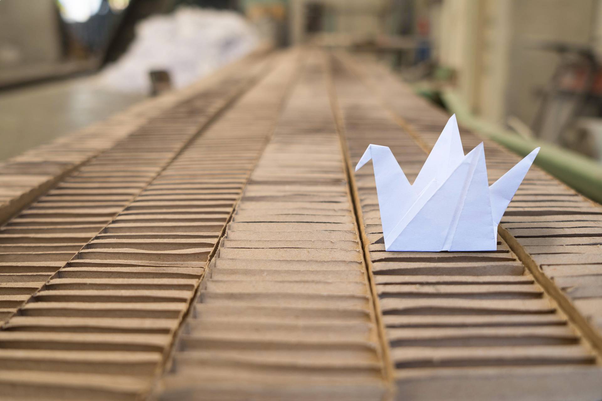 Origami bianco