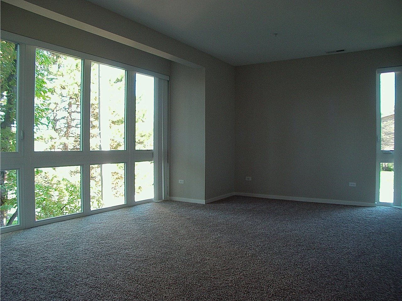 Empty room with large windows, gray carpet, and light gray walls.