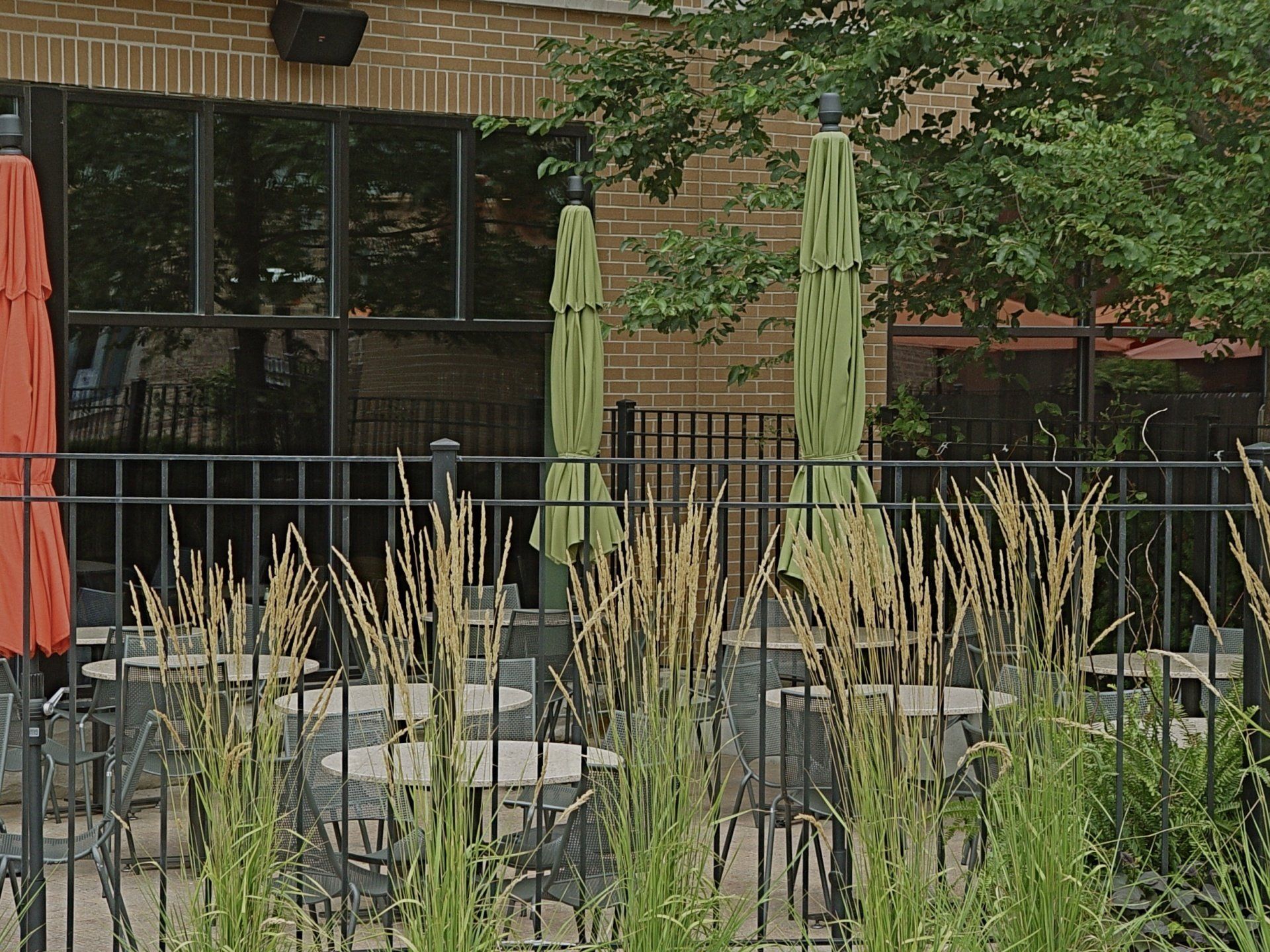 Outdoor patio with closed green and orange umbrellas, black fence, and tall grass in front.
