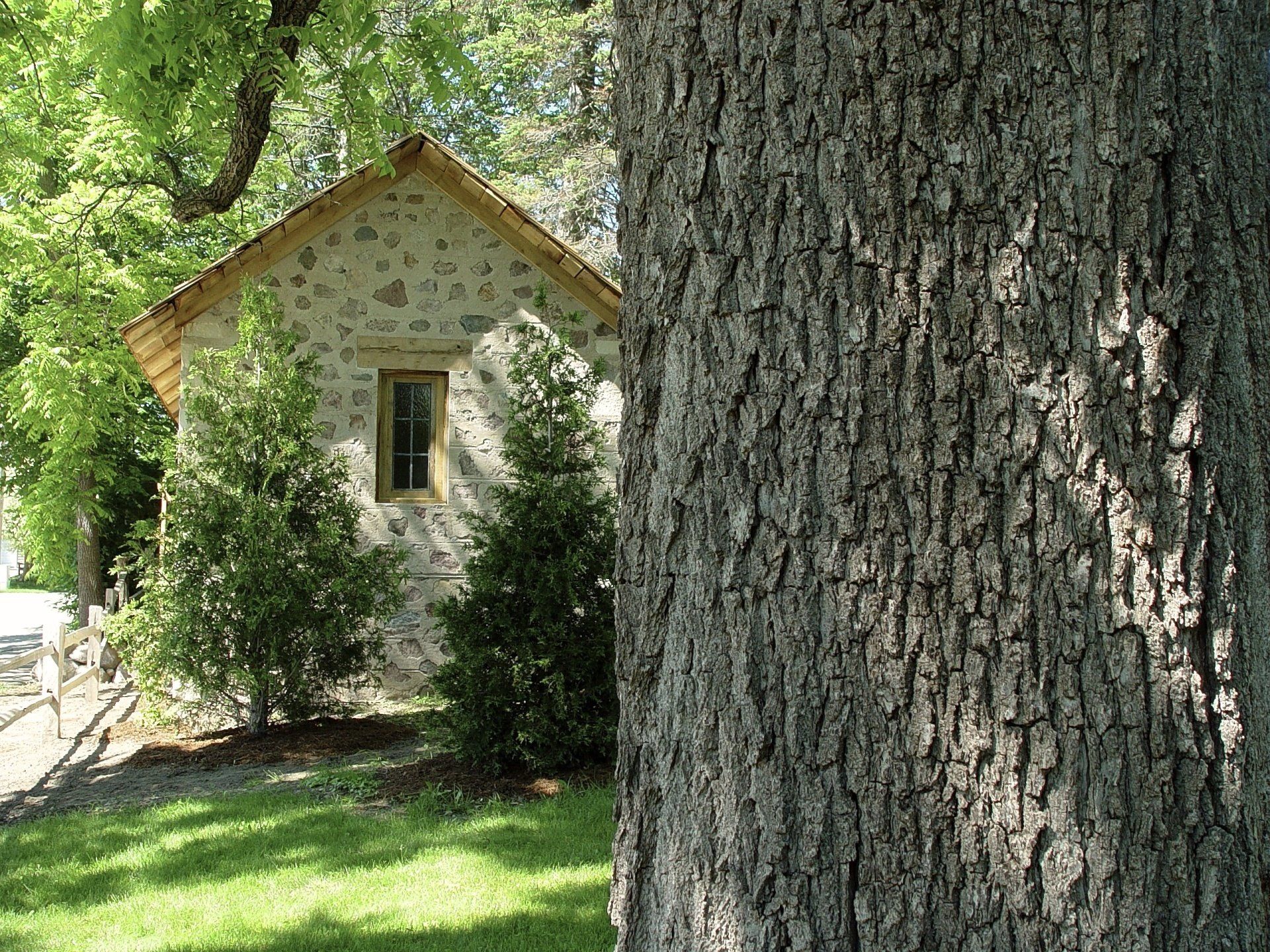 Stone building behind a textured tree trunk, in a grassy setting.