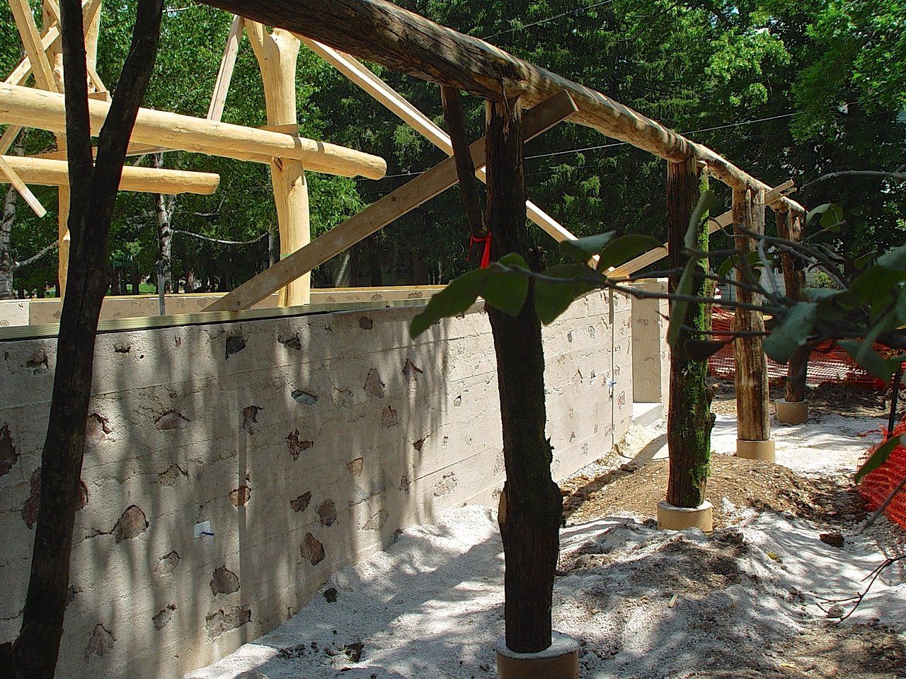Wooden structure under construction, rough cement wall, tree in foreground, sunny outdoor setting.