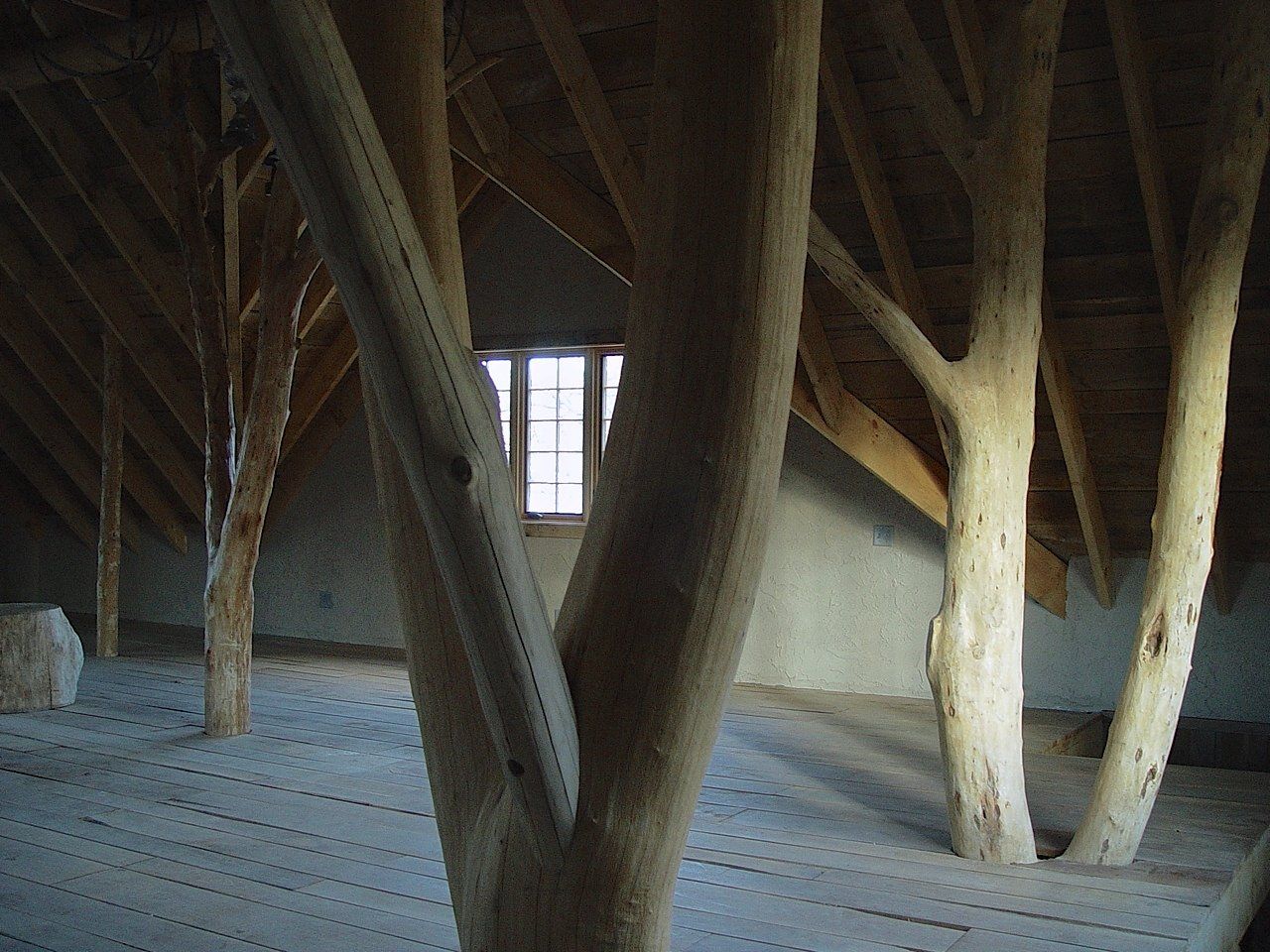 Interior view of an attic with large, tree-like support beams. A small window is visible in the background.