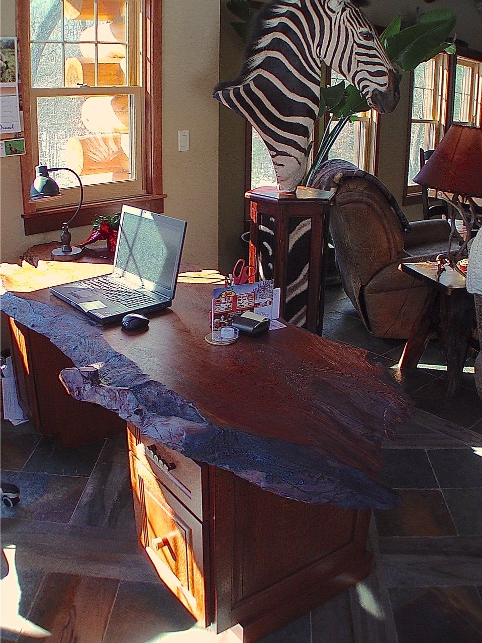 Desk with live-edge top, laptop, zebra head mount, and chair in a room with a window.
