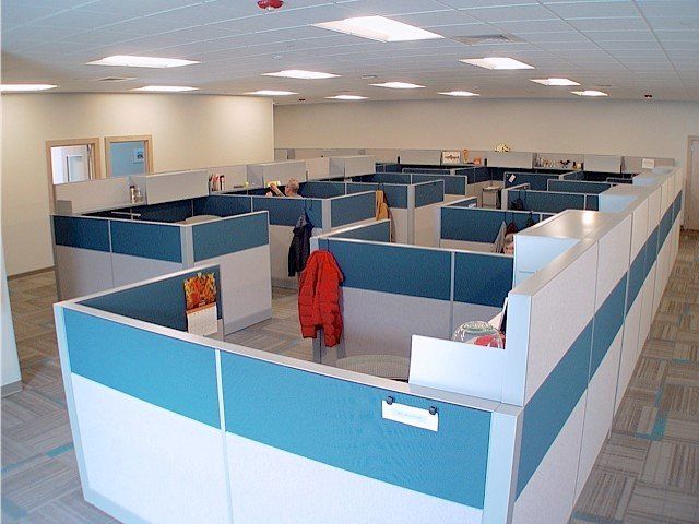 Office with rows of blue and white cubicles, jackets hanging, bright overhead lights.