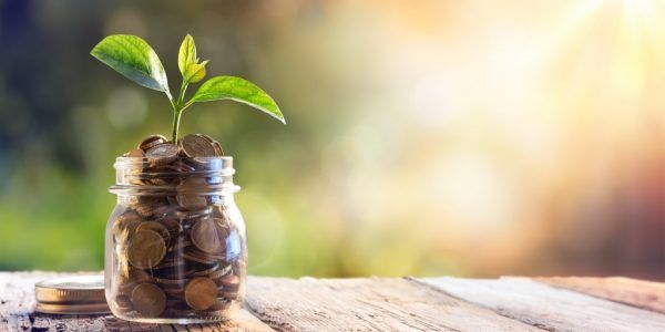 salvadanaio